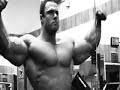 Animal Pak, Chest Part Three Animal Pak, Chest Part Three