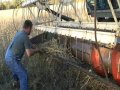 Harvesting soybeans with a Gleaner E