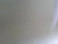 auch lusch auch lusch
