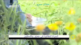 وصف الحياة الثقافية والتعليمية في جمزو قبل عام ١٩٤٨م .