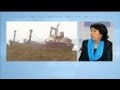 Analyse De Corinne Lepage Sur Le Cargo Échoué En Bretagne