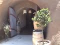 Bella Vineyards