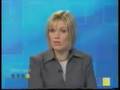 Yorkshire Terrier video