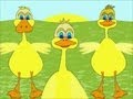 Patinhos Cuacuacua - â?« Os patinhos que sabem contar â?«