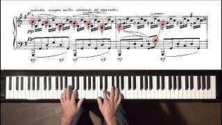 Saint-Saëns  The Swan  PIANO (A Siloti) + Free Pr