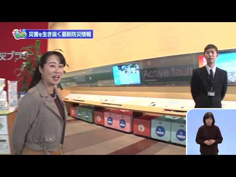 動画