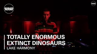 Totally Enormous Extinct Dinosaurs - Live @ Boiler Room Ray-Ban x Boiler Room Weekender 2017