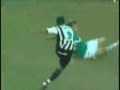 Gustavo - 