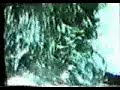 Os Cascavelletes - Sob Um C�u de Blues