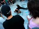 Summerdance Chicago Mike Dearborn - Jeff Mills Breakdance 2