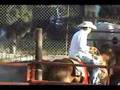 Los toros en la funcion del paso