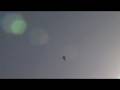 Dan Clark's Free Progam flight