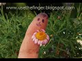 Fingern viser seg