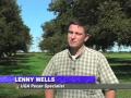 Pecan Research For Healthier Orchards