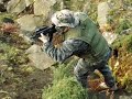 Trident Airsoft 3