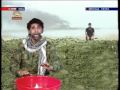 ba hal 22 akhbar 2