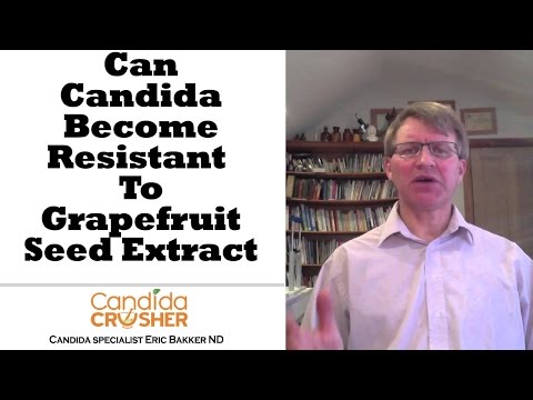 how to treat candida with gse