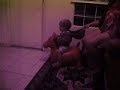 Click here to watch this video Davi eo seu Cavalinho.