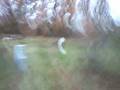 videos de star aw-338