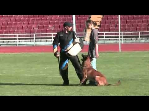 YouTube Трейлер