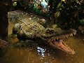 Rainforest Cafe Krokodil-Animatronik, London