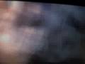videos de Family Tree series part 2