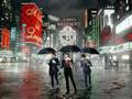 Jonas Brother - Love Bug (With Lyrics)