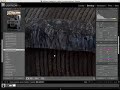 Lightroom, il dettaglio nascosto nel file raw Lightroom, il dettaglio nascosto nel file raw