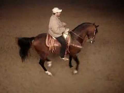 caballo bailando