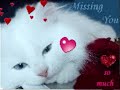 يعشقني - يوسف العماني