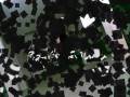videos de HB-Alvin - Specially Dedication For 1 GurL