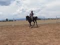 rayvn training1.AVI