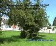 Sirene E57 Testbetrieb