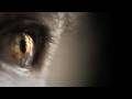 videos de Showreel BLEND - DEFINE YOURS