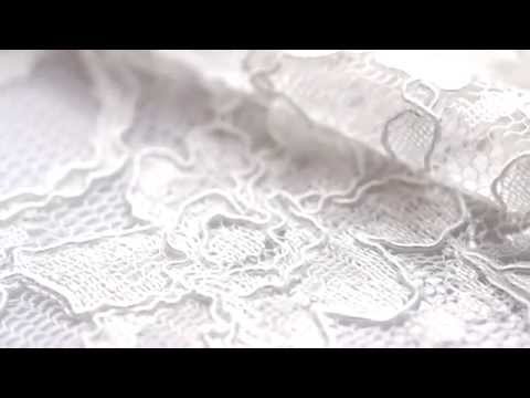 YouTube �������