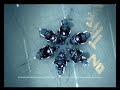 Thumbnail #3
