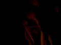 videos de TUP festa animada
