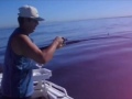Fishing Palmy with natty jane 1