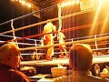 Actividad de Boxeo de la Universal Promotion Inc.