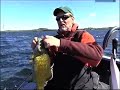Big Bass Bonanza Big Bass Bonanza