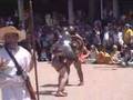 Ludi Gladiatori