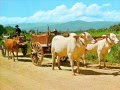 Postcards from Amazing Thailand