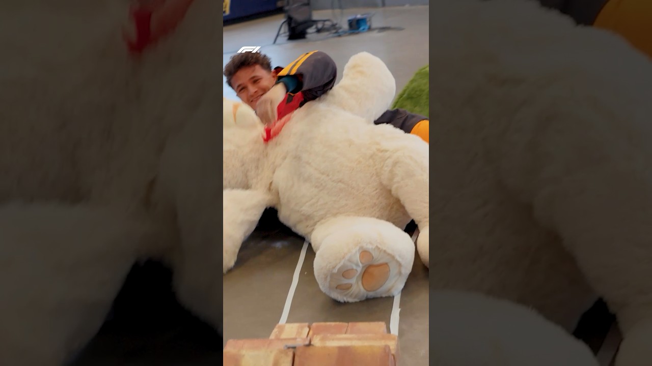 No Context Lando Norris 🤷‍♂️