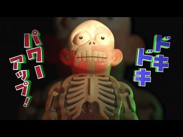 サムネイル画像