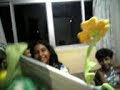 Dorotéia: A flor