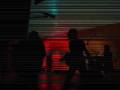feesnover live