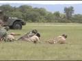 WWII Weekend Part 2: Bulge