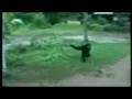 videos de hahahah Humor :D