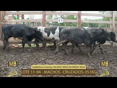 523� LEIL�O VIRTUAL MB LEIL�ES