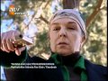 Parmakliklar Ardinda - Nur'un intikami